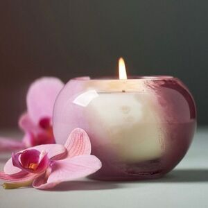 Anthropologie NIB The Loved Woody Salted Moss & Lavender Glass Candle